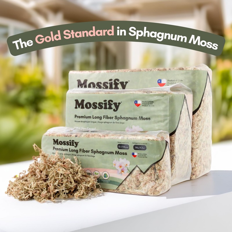 Mossify Premium Sphagnum Moss for Plants 1kg, 2.2 lbs -