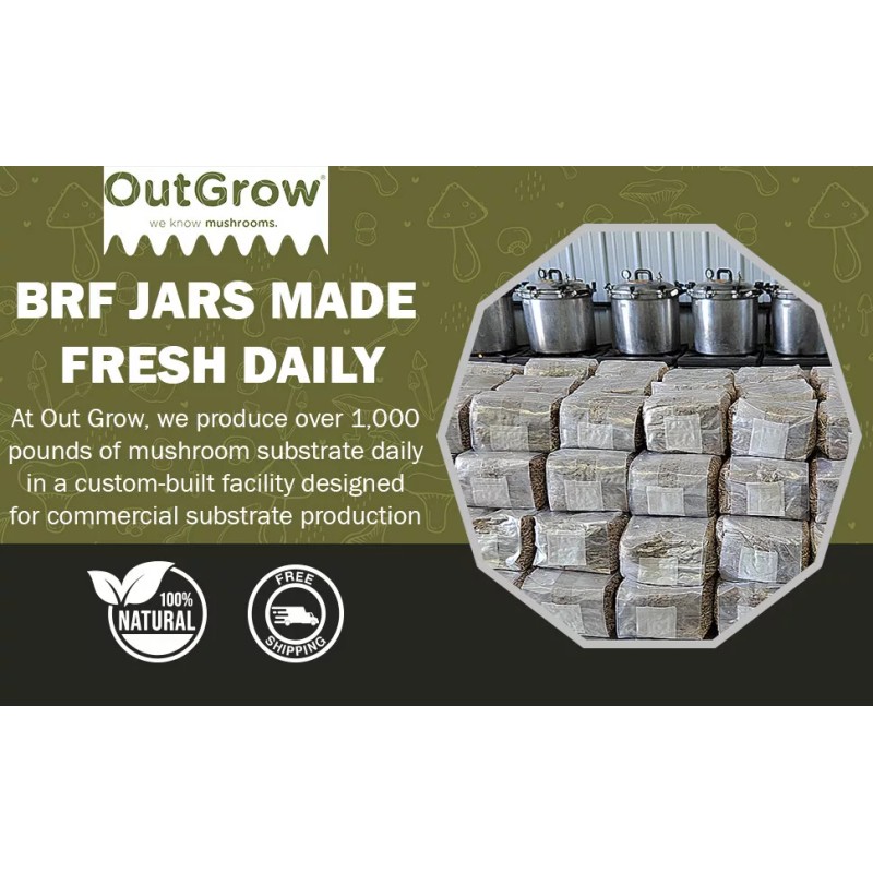 Out-Grow BRF Jars Brown Rice Flour Mushroom Substrate (6 Pack)
