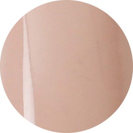 Vetro No. (A Little Bit Of... 19 4-Colored Gels Matte vl366 Coral Stone 4ml