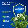 AgroMagen Plant Food with Essential Nutrients & Chelated Micronutrients, Liquid