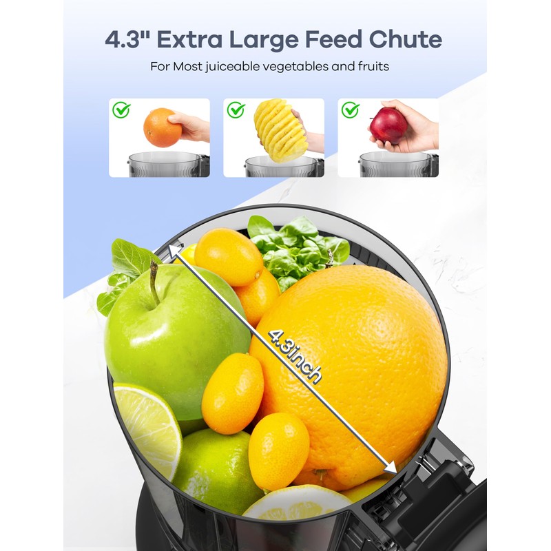 Ganiza Juicer Machines, Slow Masticating Juicers with Large Feed Chute