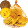 Fruidles Chocolate Coins in Mesh Bags, 10 Belgian Milk Chocolate