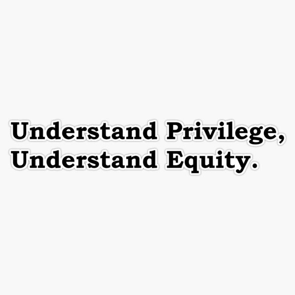 Understand Privilege. Understand Equity. Bumper Sticker Vinyl Decal 5 inches