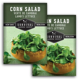 Corn Salad Verte de Cambrai Seeds for Planting - 2 Packets with Instructions to Plant and Grow Lamb's Lettuce or Mache in Your Home Vegetable Garden - Non-GMO, Heirloom Variety - Survival Garden Seeds