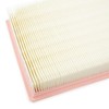 RIDEX Air Filter 8A0270 Agila (A) (H00) IGNIS II 245