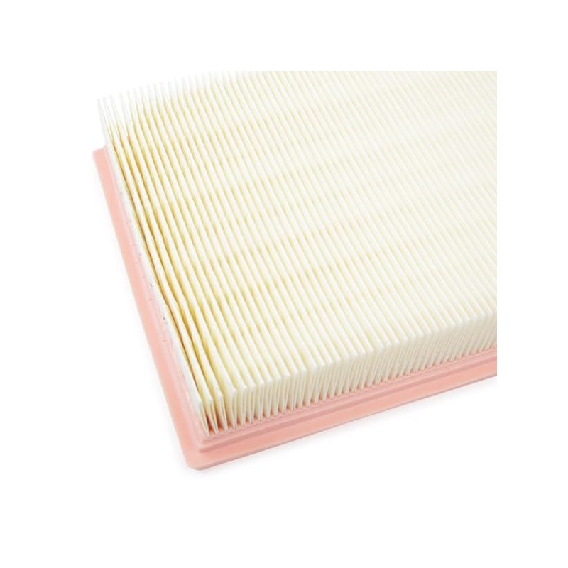 RIDEX Air Filter 8A0270 Agila (A) (H00) IGNIS II 245