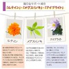 ビルベリー + ルテイン 60粒入 1ヶ月分 2粒にビルベリー 500mg ルテイン 9mg配合