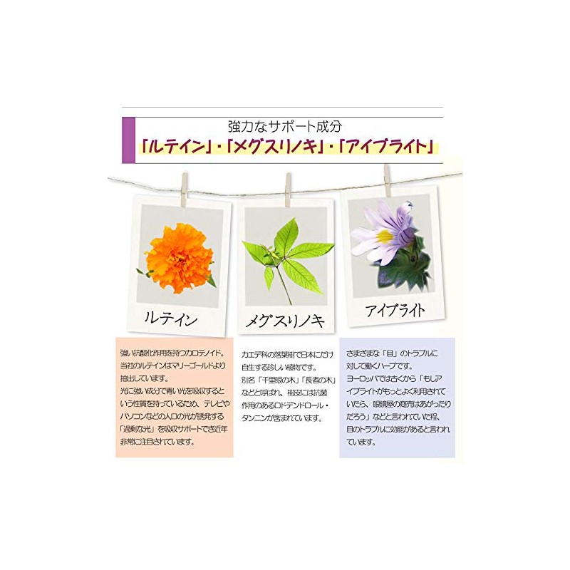 ビルベリー + ルテイン 60粒入 1ヶ月分 2粒にビルベリー 500mg ルテイン 9mg配合