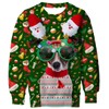 Youth Christmas Sweatshirt 13-16 3D Glasses Dog Cool Boys Xmas