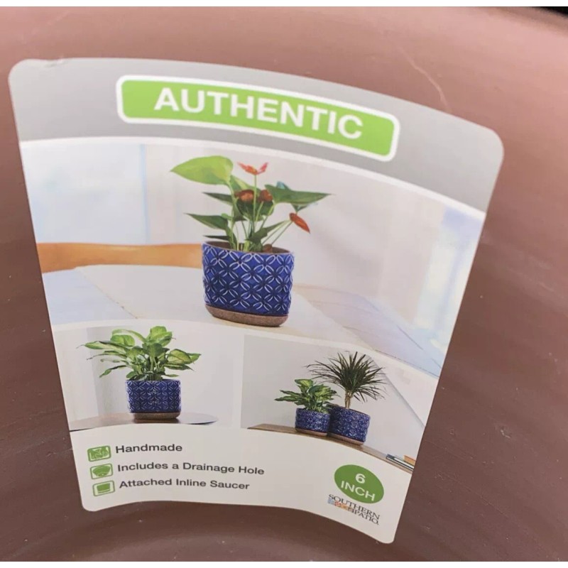 Southern Patio 6in Ceramic Griffey Planter