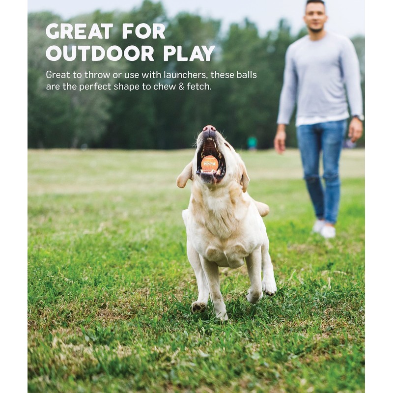 Outward Hound Tennis Ballz Fetch Dog Toy, 4-Pack