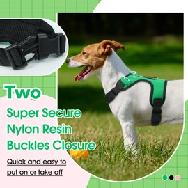 Dog Harness for Small Dogs, Dog Harness and Leash Set, Cute Breathable Mesh Puppy Harnesses, Adjustable Soft Padded Dogs Vest Harnesses (Green Frog, XS)
