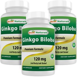 Best Naturals, Ginkgo Biloba Extract - Double Strength Ginkgo Biloba, 120mg, 120 Capsules (120 Count (Pack of 3))