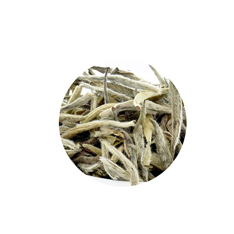T7 TEA Silver Needle White TEA 2oz