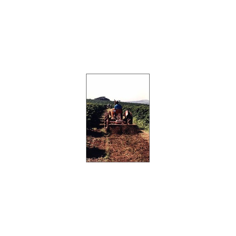(Home Roasted Coffee Beans) Commercial Brazil Peaberry 2.2 lbs (1