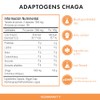 Chaga en Ultra Concentrado 1,000 mg por Dosis - 300