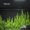 Carefree Fish Aquarium LED Light USB 5V RGBW 5730 Timmer