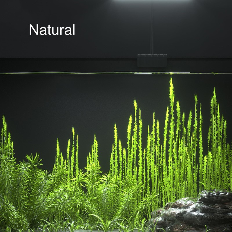 Carefree Fish Aquarium LED Light USB 5V RGBW 5730 Timmer