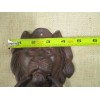 2 Cast Iron Antique Style Rustic LION HEAD Door Knocker
