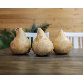 Dried Martin Gourds (3-Pack) - 5" in Diameter, Ready for Crafting & Decorating