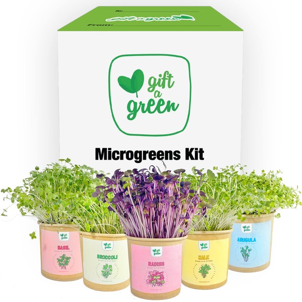 GIFT A GREEN ALL OCCASION Organic Microgreens Grow Kit Send a Memorable All Occasion Gift Basket Where the Recipient Gets to Grow Organic Kale, Arugula, Basil, Radish, Broccoli Microgreens