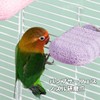 PAVIKE Nail Sharpening Step, Small Animals, Monga, Washable, Nail Sharpener,