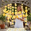 Yellow Lemon Banner Citrus Hanging Garlands Lemonade Party Decorations