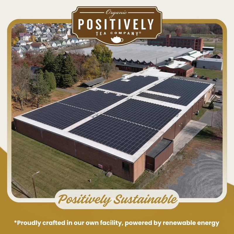 Organic Positively Tea Company, Ti Kuan Yin Oolong Tea, Loose