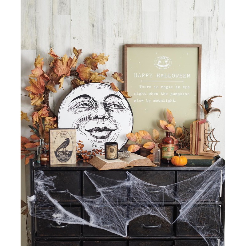 Primitives by Kathy Bookends - Cobweb