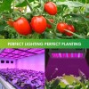 LUYIMIN 2000W LED Grow Light, Full Spectrum Plant Light with