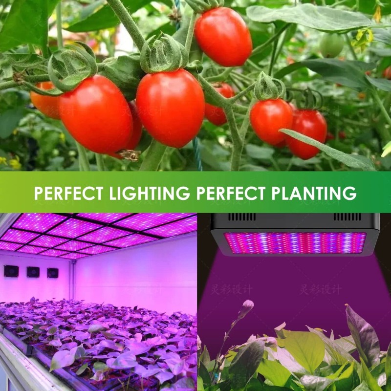 LUYIMIN 2000W LED Grow Light, Full Spectrum Plant Light with
