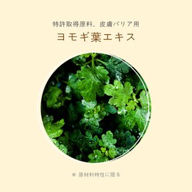 briel シアバター 10% モイスチャー ローション 300g ベビー キッズ ローション