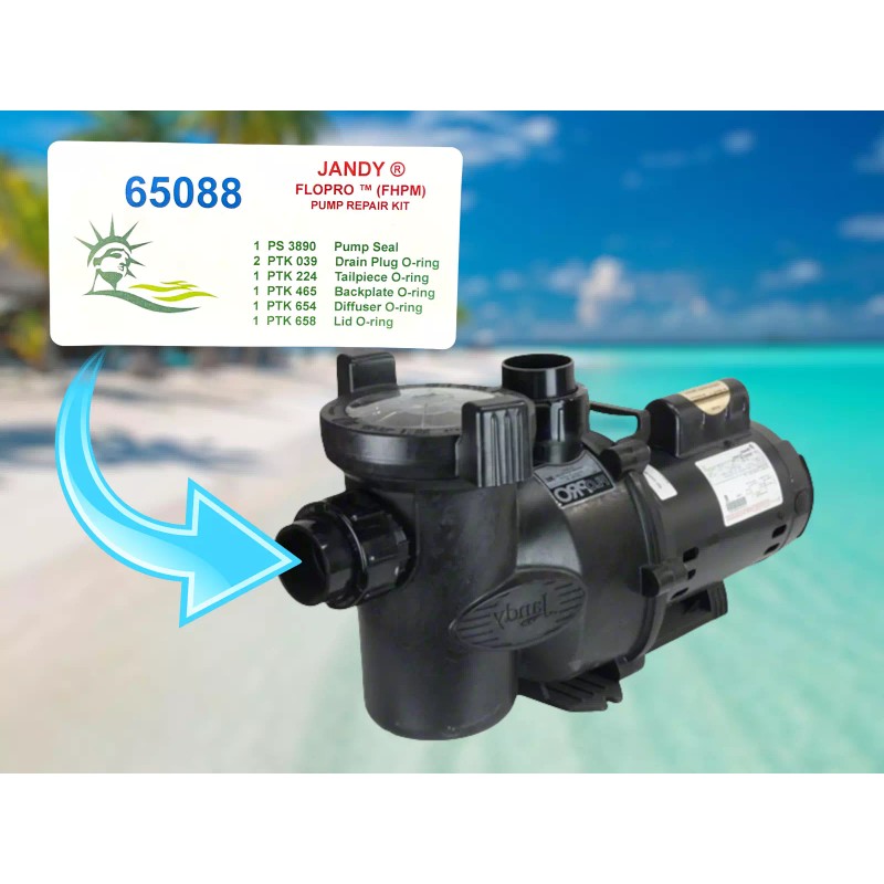 Liberty FLOPRO For Swimming Pool Pump Replacement By Liberty Seals