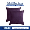 MIULEE Pack of 2 Velvet Soft Solid Decorative Square Throw
