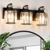 ALAISLYC Black Bathroom Light Fixtures with K9 Crystal Lampshade Bathroom