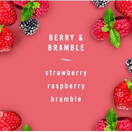 Generic Febreze Car Air Freshener Vent Clips - 2 Clips - 0.07 Fl Oz (Berry & Bramble)