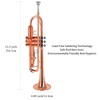 EASTROCK Bb Trumpet Standard Trumpet Set with Carrying Case,Gloves, 7C