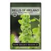 Sow Right Seeds - Bells of Ireland Flower Seeds for