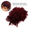 Healvian Women Ponytail Drawstring Wig with Afro Curly Hairpiece for