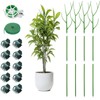 12 Pack Stackable Monstera Plant Support Stakes, Climbing Plants Support
