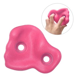 Homepatche 20PCS Rock Climbing Holds for Kids Wall,Kids Rock Wall Climbing Holds Set Plastic with Screw Pad and Nut Rock Climbing Holds for DIY Indoor Outdoor Playground,Roseate