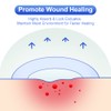 Niceful 10 Count Hydrocolloid Bandages Large, 2" x 4" Hydrocolloid