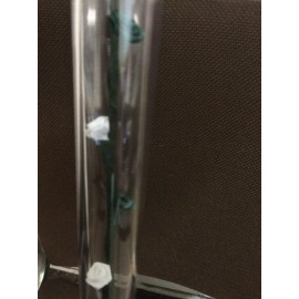Elegant Designer Cane Walking cane acrylic white and green roses lucite elegant designer changeable