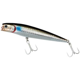 Daiwa 110F-HD Sea Bass Morethan Salt Pencil Lure, 3D Inakko (Mullet)