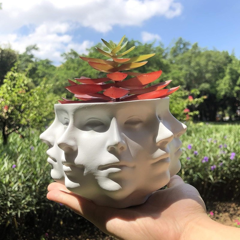 QUINTRA Succulent Planter with Faces, Small Face, Face Vase, Home