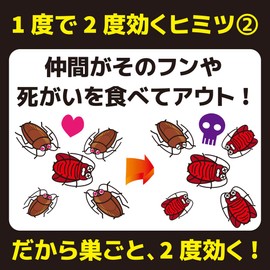 KINCHO Combat Cockroach Insecticide Large Container, 1 Year, Pack of 4