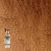 Rust-Oleum Universal All Surface Hammered Spray Paint, Copper