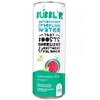 BABBL Watermelon Lime Smash Antioxidant Sparkling Water - 6pk/12 fl