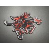 Texas Tech Red Raiders Iron On Patch