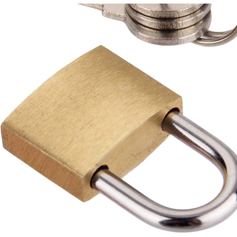 Gold and Silver Small Size Wolf Dog Copper Padlock Wolf